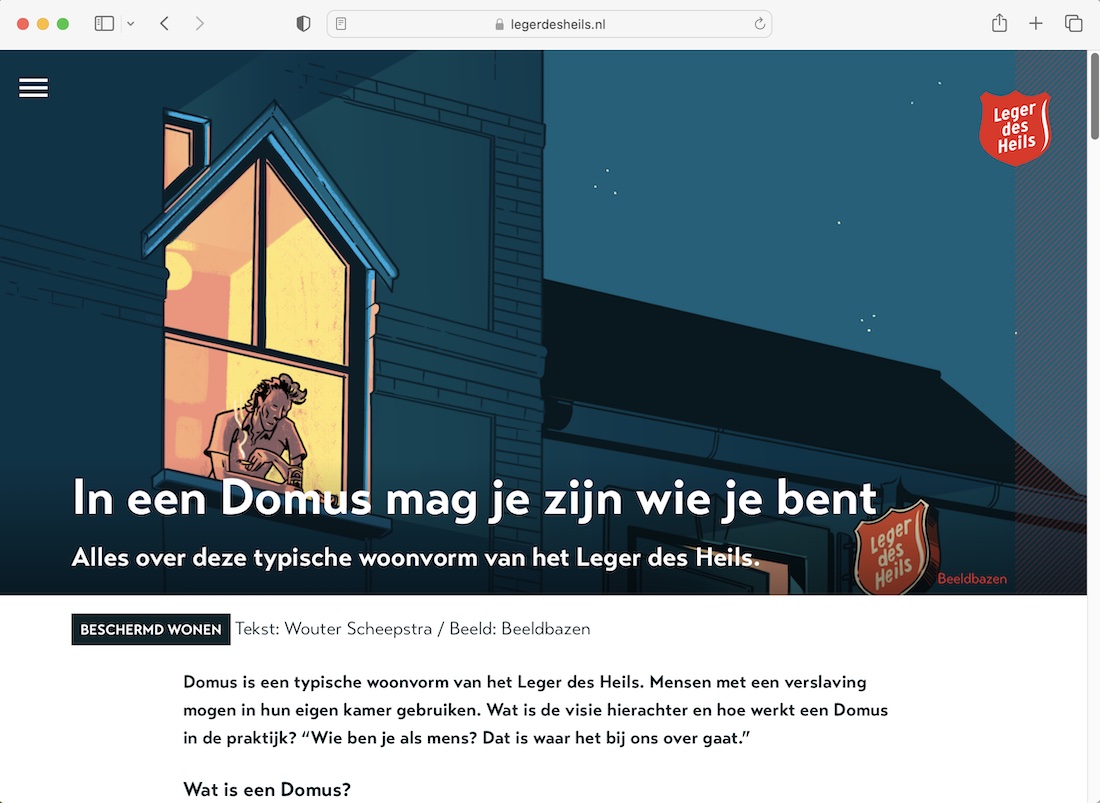 Afbeelding van een domus webpagina