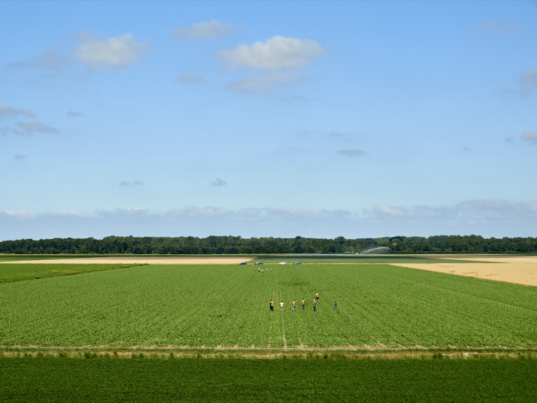 Foto van landbouwgebied met landarbeiders in de omgeving van Almere