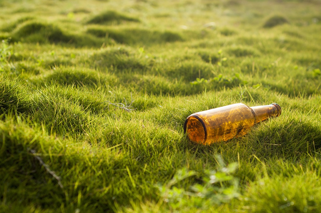 Afbeelding:Bierflesje op grasveld